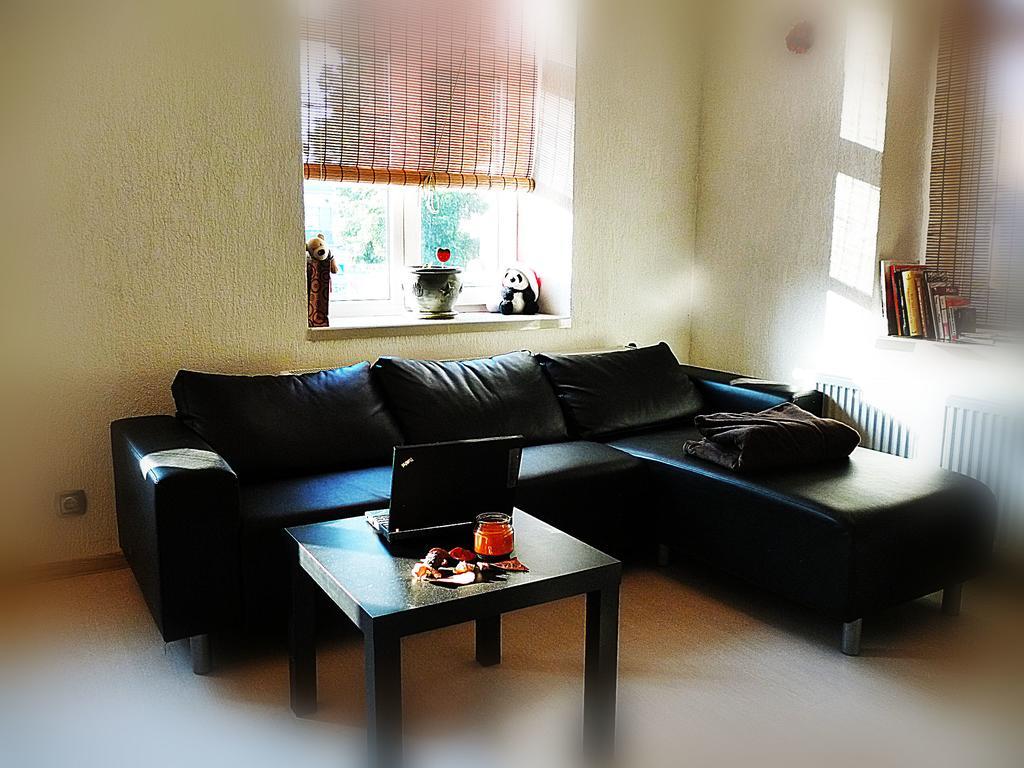 Ditton Apartment City Center Даугавпилс Стая снимка